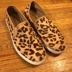 Splendid tennis shoes in leopard